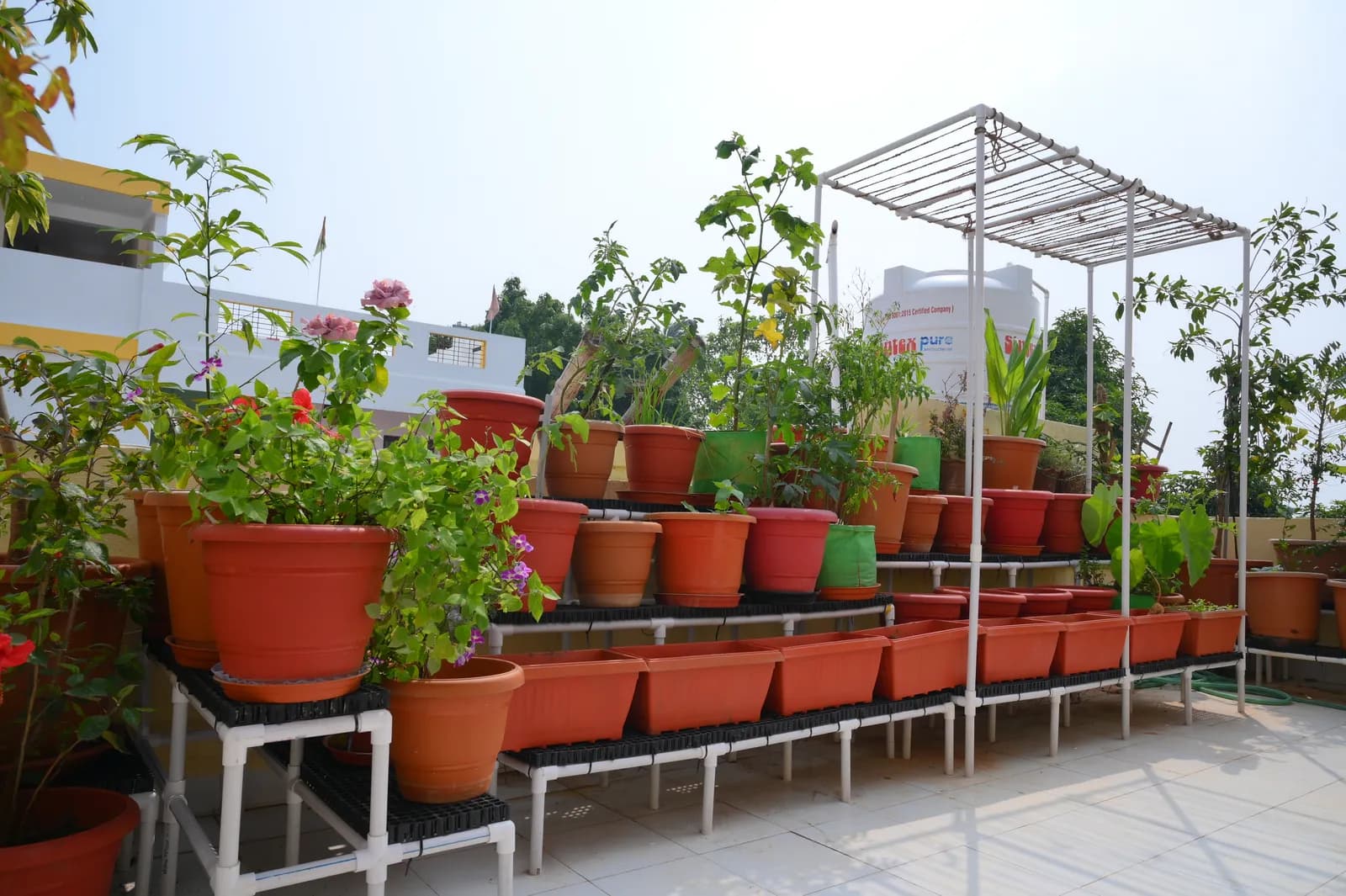 Rooftop terrace garden