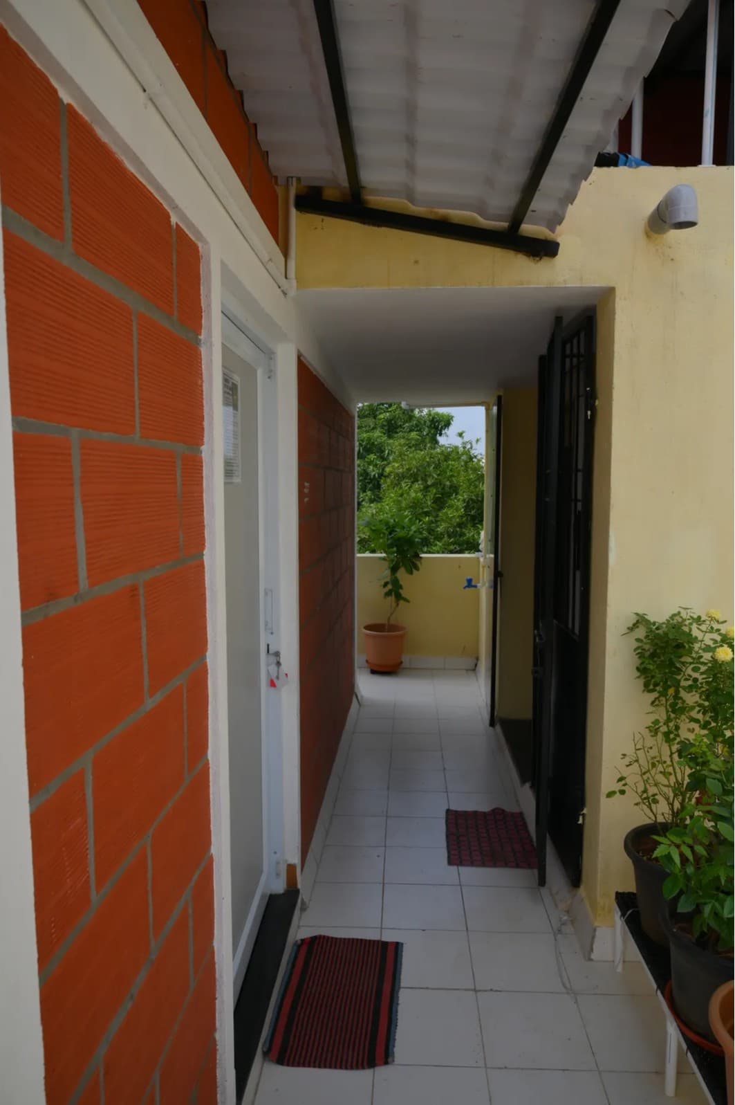 Garden walkway with tropical landscaping
